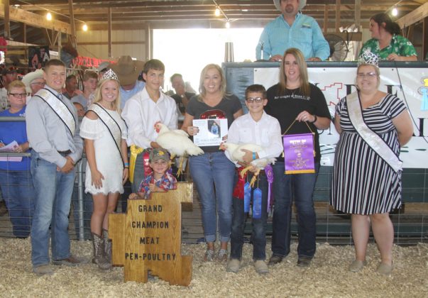 Noble County Fair Grand Champion Chickens