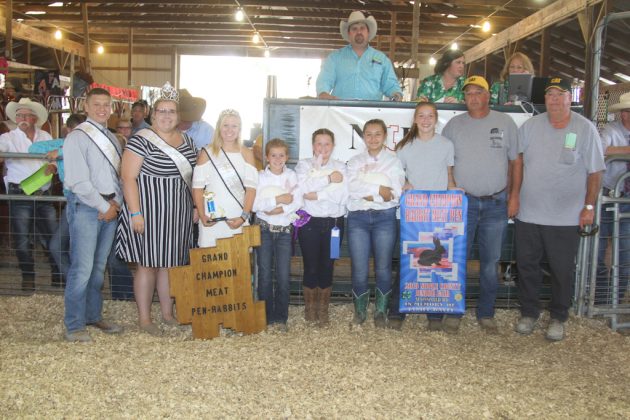 Noble County Fair Grand Champion Rabbits