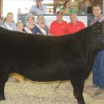 2019 Noble County Fair sale results Noble County Fair Grand Champion Steer