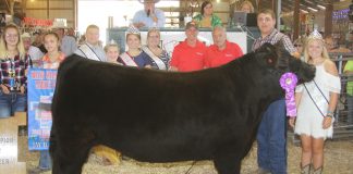 2019 Noble County Fair sale results Noble County Fair Grand Champion Steer