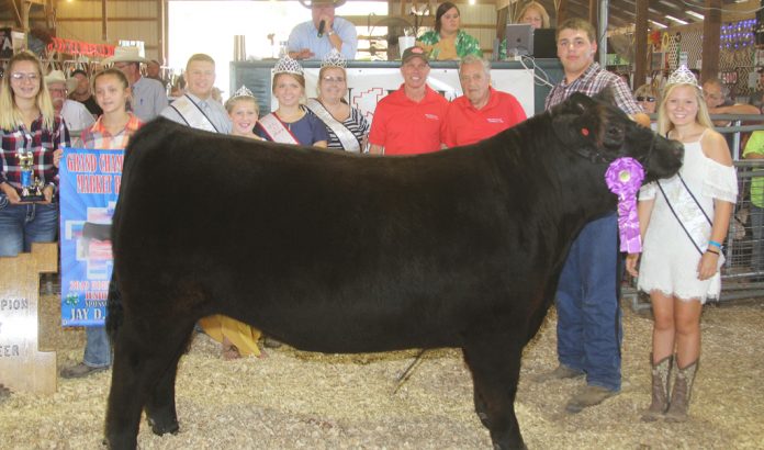 Noble County Fair Grand Champion Steer