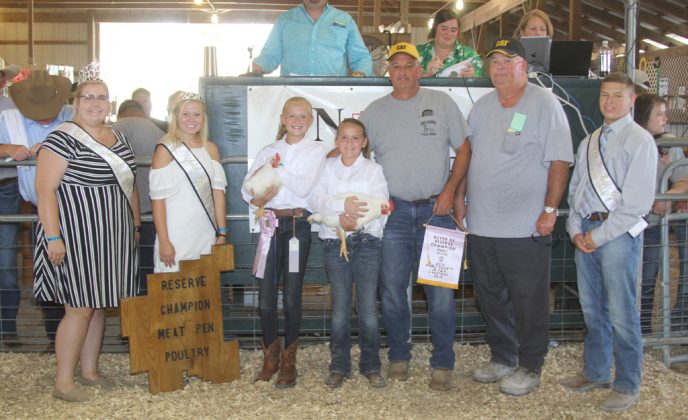 Noble County Fair Reserve Champion Chickens