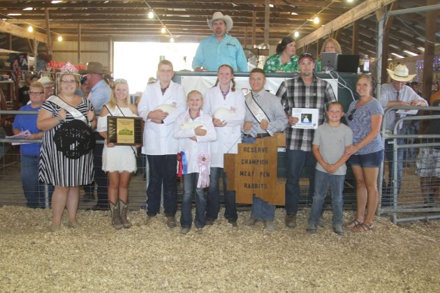 Noble County Fair Reserve Champion Rabbits