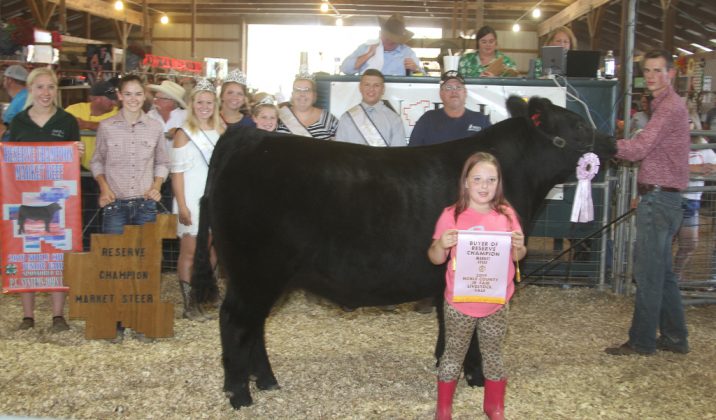 Noble County Fair Reserve Champion Steer
