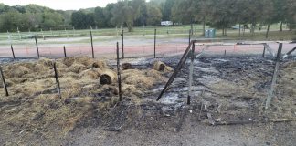 remains of rogers pavilion fire