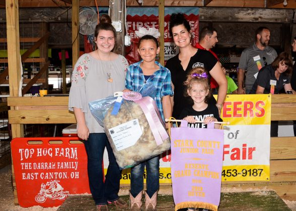 Stark County Fair Reserve Champion Wool