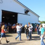 Stark Co. 4-H’ers make the most out of the fair Friends and family congratulate Billy Kegley after he wins beef showman of showmen.