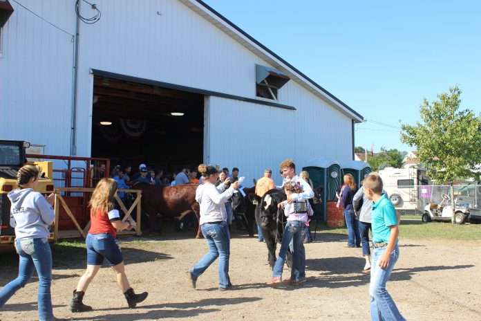 stark_fair_2 Friends and family congratulate Billy Kegley after he wins beef showman of showmen.