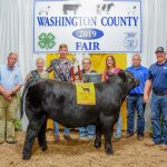 2019 Washington County Fair (Ohio) sale results Washington County Fair Grand Champion Steer
