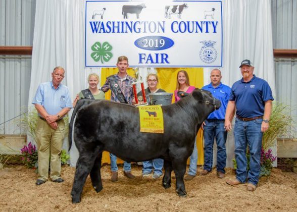 Washington County Fair Grand Champion Steer