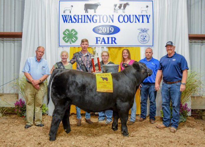 Washington County Fair Grand Champion Steer
