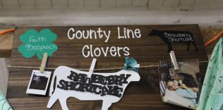 sign for faithlyn bogavich