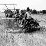 historical image of a reaper