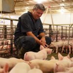 America’s Pig Farmer of Year is from Pennsylvania pig farmer