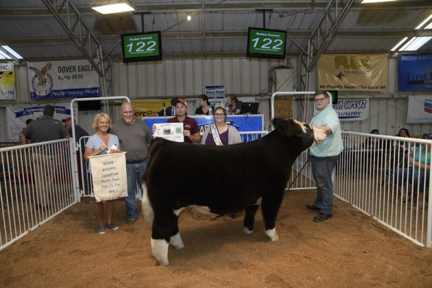 Reserve Champion Market Steer