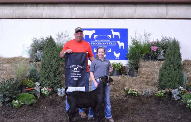 Goat Reserve Champion