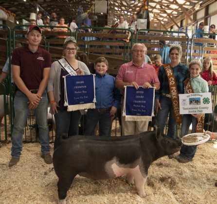 Grand Champion Hog