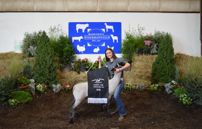 Reserve Champion Market Lamb