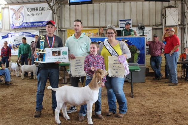 Reserve Champion Goat
