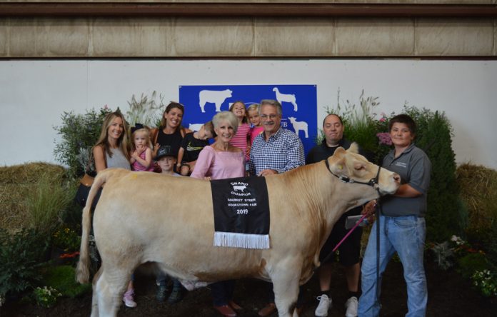 Steer Champion