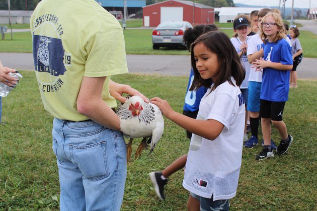 girl pets chicken