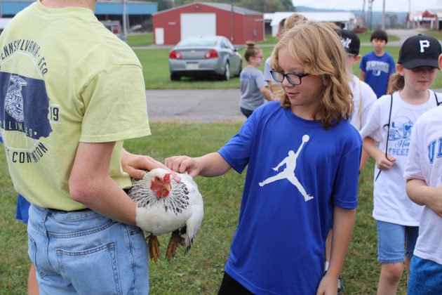 student pets chicken