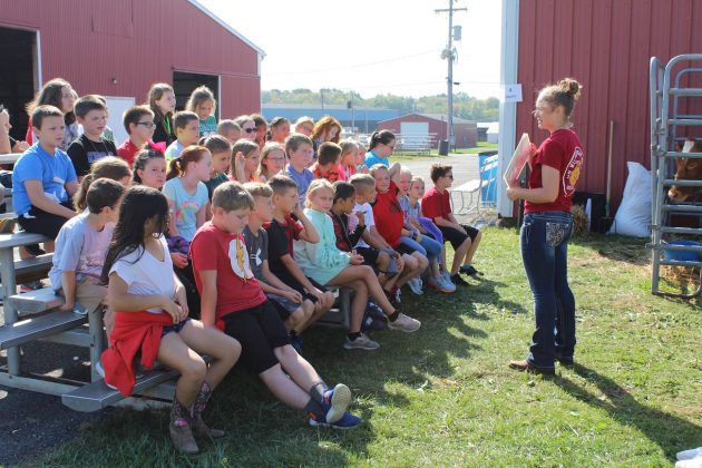 ffa girl talks about dairy