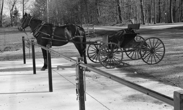 horse and buggy