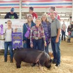 2019 Ashland County Fair sale results Grand Champion Hog