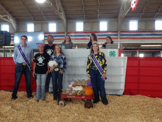 Grand Champion Market Chickens