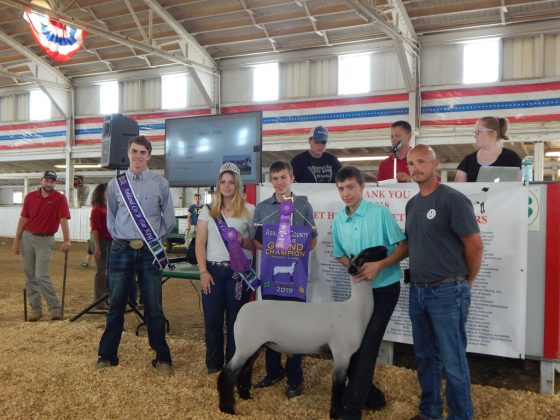 Grand Champion Lamb