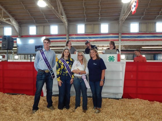 Reserve Champion Fryer Rabbit