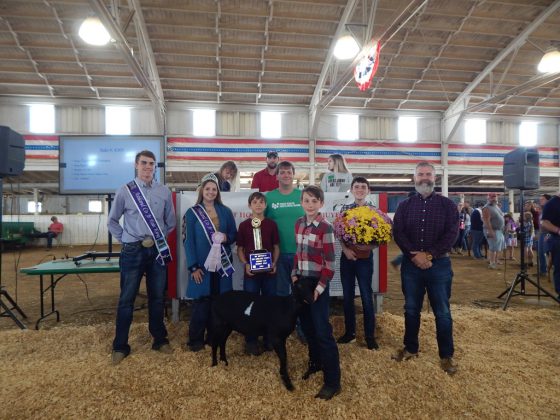 Reserve Champion Dairy Market Goat