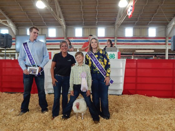 Reserve Champion Turkey