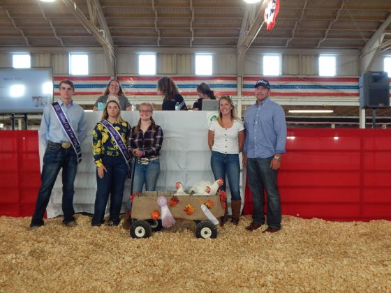 Reserve Champion Chickens