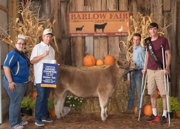 Grand Champion Heifer