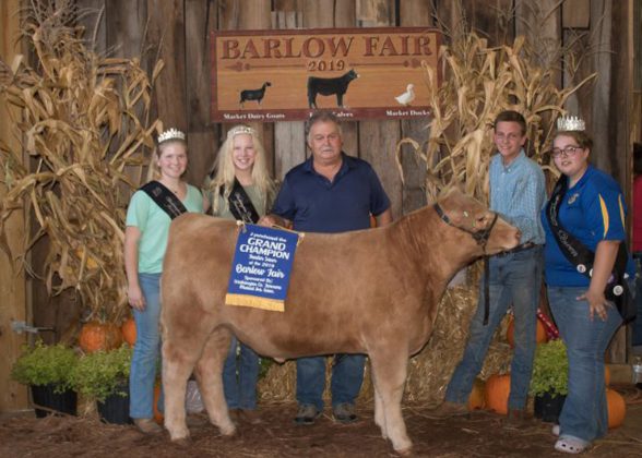 Grand Champion Steer