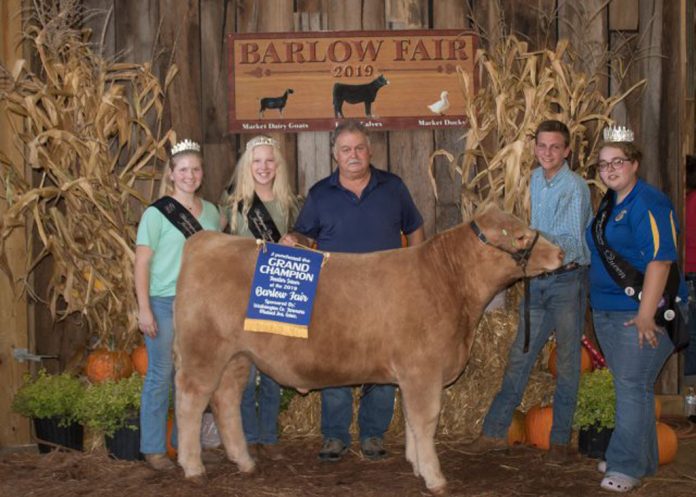 Grand Champion Steer Grand Champion Steer