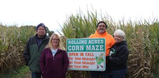 siblings run corn maze