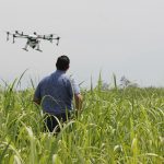 You can teach an old dog new tricks farmer using a drone