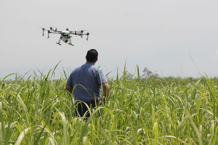 farmer using a drone