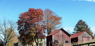 Rural broadband enhancements required to move W.Va. forward West Virginia farm