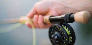 A tiny wire, a few feathers and a helping hand fly fishing