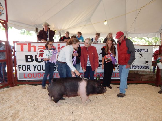 Loudonville Street Fair Reserve Champion Hog
