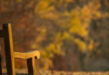 Rural Americans are the have-nots of digital divide park bench