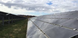 solar panels in a field