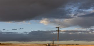 telephone lines on a country road
