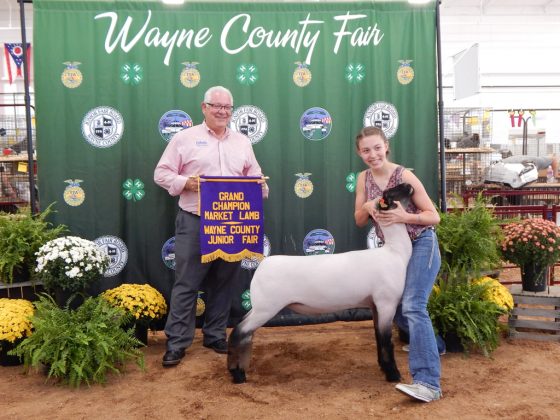 Wayne County Fair Grand Champion Lamb