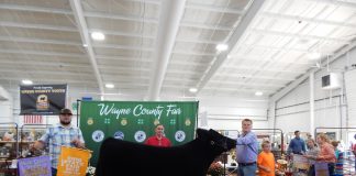 Wayne County Fair Grand Champion Steer