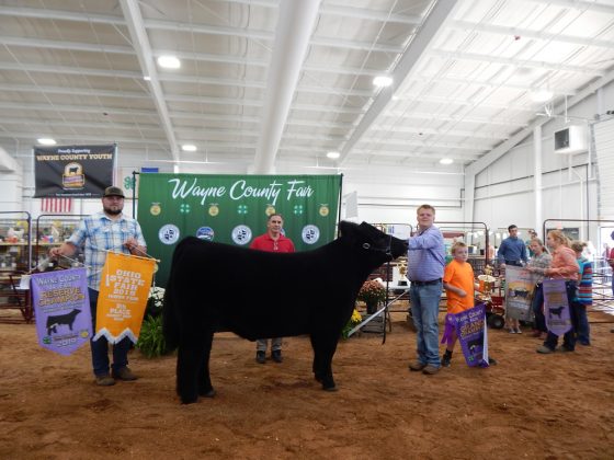 Wayne County Fair Grand Champion Steer